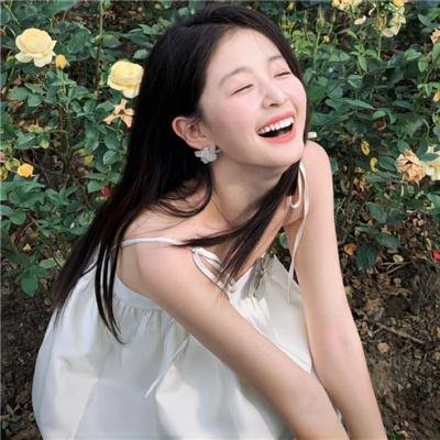 假元首秘纪封面